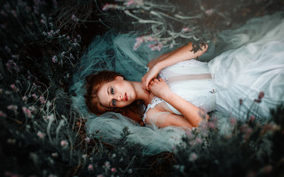 Woman white dress flower field 5 - a field of flowers free wallpaper