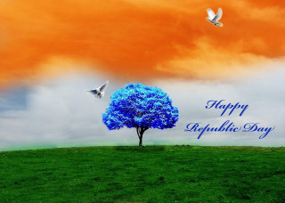 Tree blue hill bird flying - a hill free wallpaper
