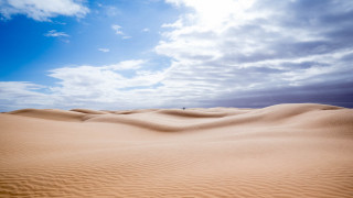 Desert sandscape clouds trees ocean - sandy free wallpaper