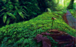 Mossy hill yellow flower path - mossy free wallpaper