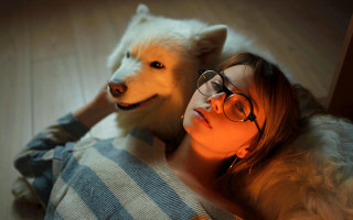 Woman dog glasses romantic shiba - striped free wallpaper