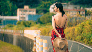 Red dress hat fence cityscape - a fence and trees free wallpaper