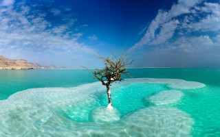 Tree water mountain sky panorama - panoramic free wallpaper for desktop