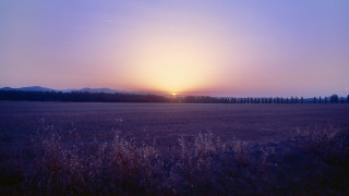 Sunset trees hill night sky - ektachrome photograph free wallpaper