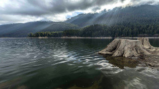 Tree stump lake mountains clouds - lake free wallpaper