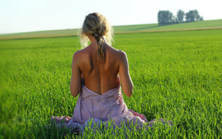Woman field backlit blonde bun - her back free wallpaper