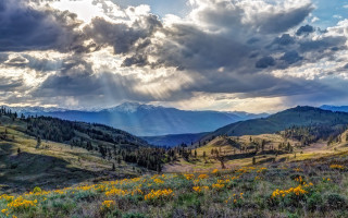Mountains clouds sunrays yellowflowers nature - crepuscular ray free wallpaper