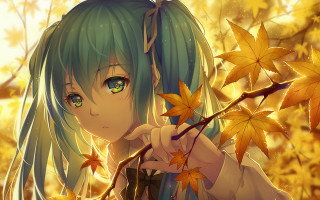 Green hair blue eyes autumn - blue eyes holding free wallpaper
