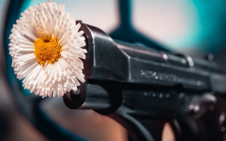 Gun flower mirror blurry closeup - a close up of a gun free wallpaper