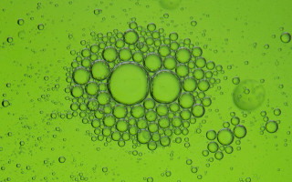 Green bubbles water droplet macro - a drop of water free wallpaper
