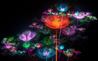 Glowing flowers mystical butterflies fairy - mystical free wallpaper