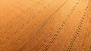 Large field tractor person sky - a large field free wallpaper