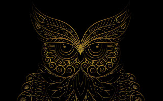 Golden owl intricate patterns dark - its face free wallpaper