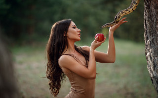 Enchanted forest woman apple snake - a tree in the foreground free wallpaper