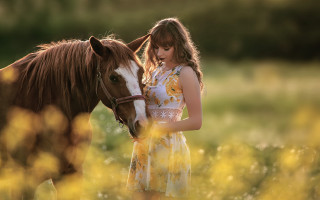 Woman yellow dress horse flower - a brown horse free wallpaper