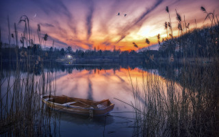 Sunset boat water birds sky - overhead free wallpaper