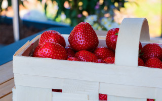 Strawberry basket outdoor sunny blurry - a basket of strawberries free wallpaper