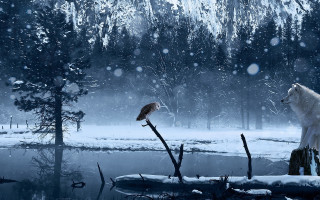 White wolf bird snow aurora - a matte painting free wallpaper