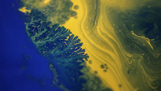 Yellow blue abstract fractals nature - generative art free wallpaper