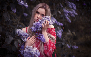 Woman red dress purple hydrangea - andor basch free wallpaper