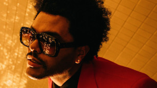 Afrofuturism bear albumcover orange sunset - andrew boog faithfull free wallpaper