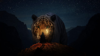 Person tiger night star fantasy - a rock free wallpaper