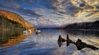 Swans lake mountains sunset clouds - magic realism free wallpaper for desktop