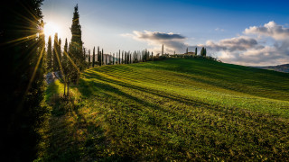 Green hill trees building sunbeam - a sunbeam in the background free wallpaper