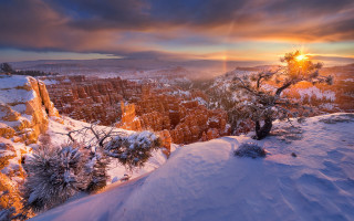 Snowy mountain tree sunset clouds 2 - the cloud free wallpaper
