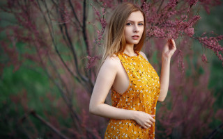 Yellow dress woman tree flower - a yellow dress free wallpaper