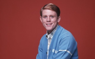 Man blue sweater red background - a blue sweater free wallpaper