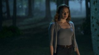 Creepy woods woman renaissance vfx - her face and chest free wallpaper