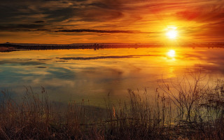 Sunset lake clouds trees grass 2 - the water and grass free wallpaper