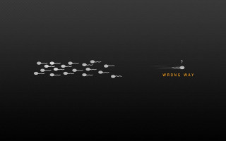 Black background white dots eve - a white dot free wallpaper