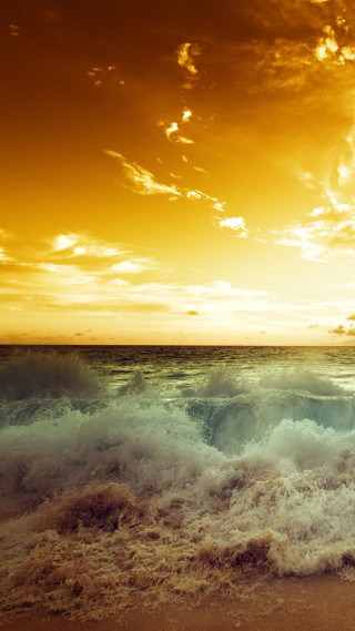 Surfer beach sunset board wave - the beach free wallpaper