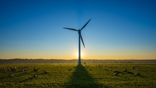 Wind turbine sheep sunset field 2 - sheep free wallpaper