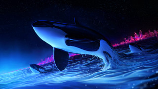 Whale jumping night city stars - a whale free wallpaper