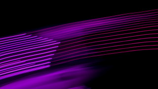 Purple abstract lines black white - line free wallpaper