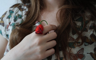 Woman red flower butterfly blurry - a red flower free wallpaper