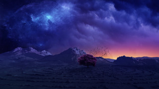 Tree field stars purple mountain - a sky full free wallpaper