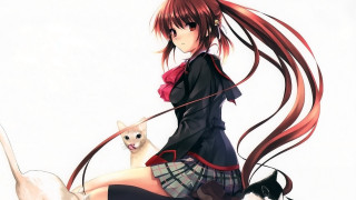 Girl long hair cat dog - a leash free wallpaper