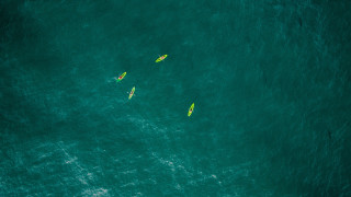 Surfboards people ocean fluorescent microscopic - fluorescent free wallpaper