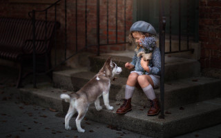 Little girl steps dog cat - a little girl free wallpaper