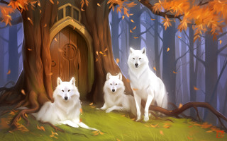 White dogs falling leaves autumn - a door in the background free wallpaper