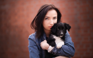 Woman holding puppy brickwall portrait - a brick wall behind her free wallpaper