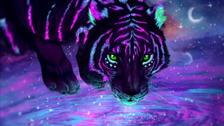 Tiger green eyes water moon - a tiger free wallpaper