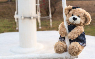 Teddy bear outdoor sunny portrait - a teddy bear free wallpaper