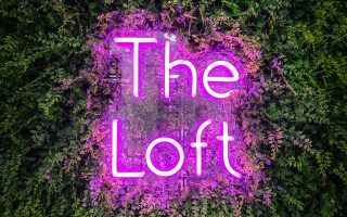 Neon loft flower garden purple - temporary art free wallpaper