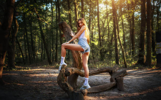Woman forest bird sitting sculpture - a large bird free wallpaper