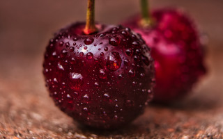 Red apples water droplets macro - cherryl fountain free wallpaper